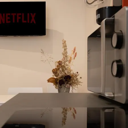 Free Netflix & Wi-fi Modern Roiano Apartamento *